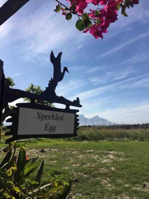 The Speckled Egg, 4 Promenade Rd, Lakeside, Cape Town Eksteriør bilde